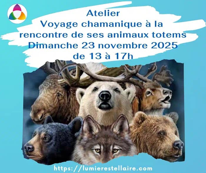 Voyage Chamanique A La Rencontre De Ses Animaux Totems