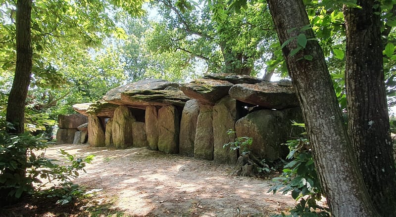 Photo Géobiologie la mare aux fées